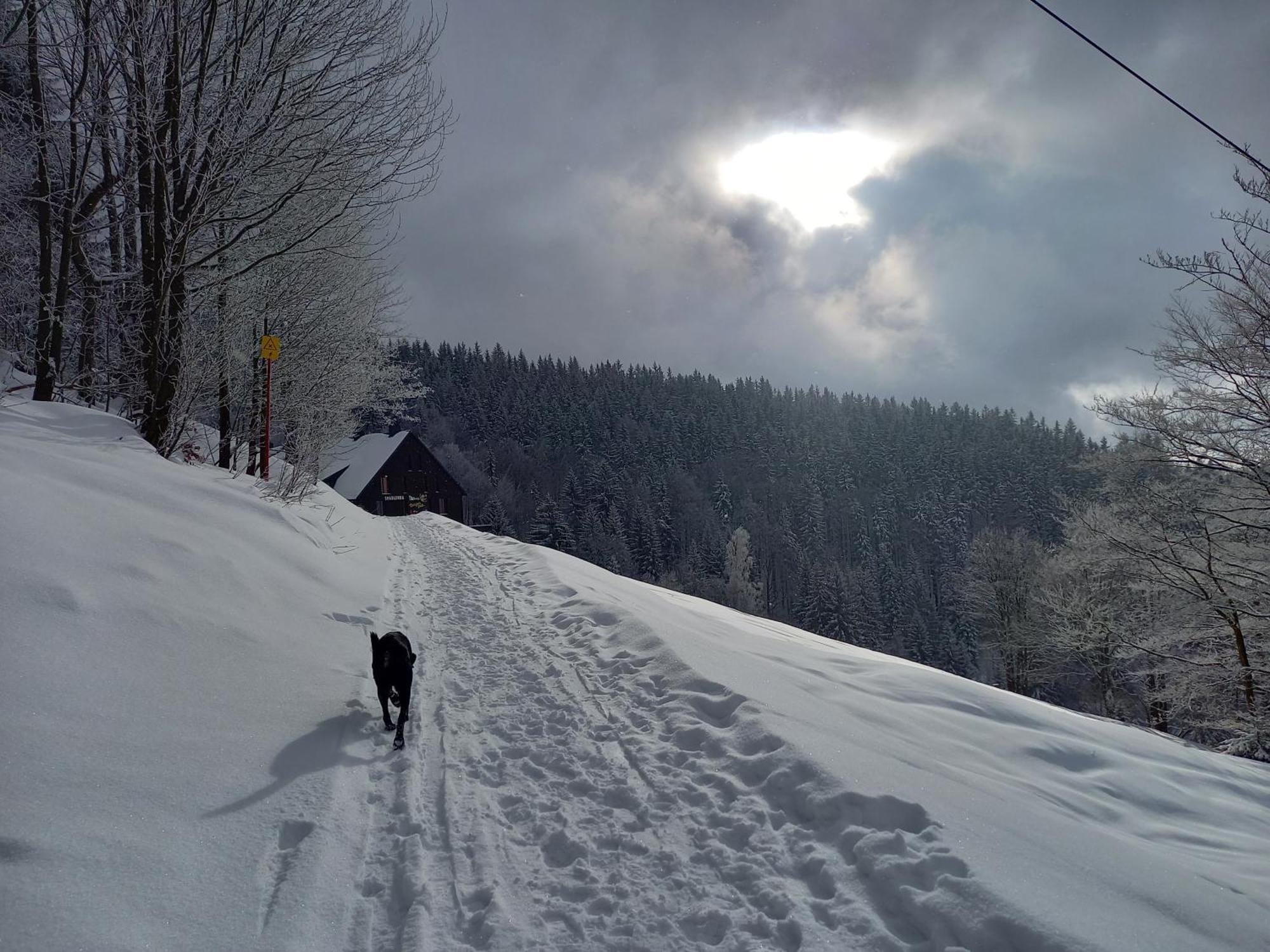 Panorama Apartman Svadlenka Rokytnice nad Jizerou Exterior foto